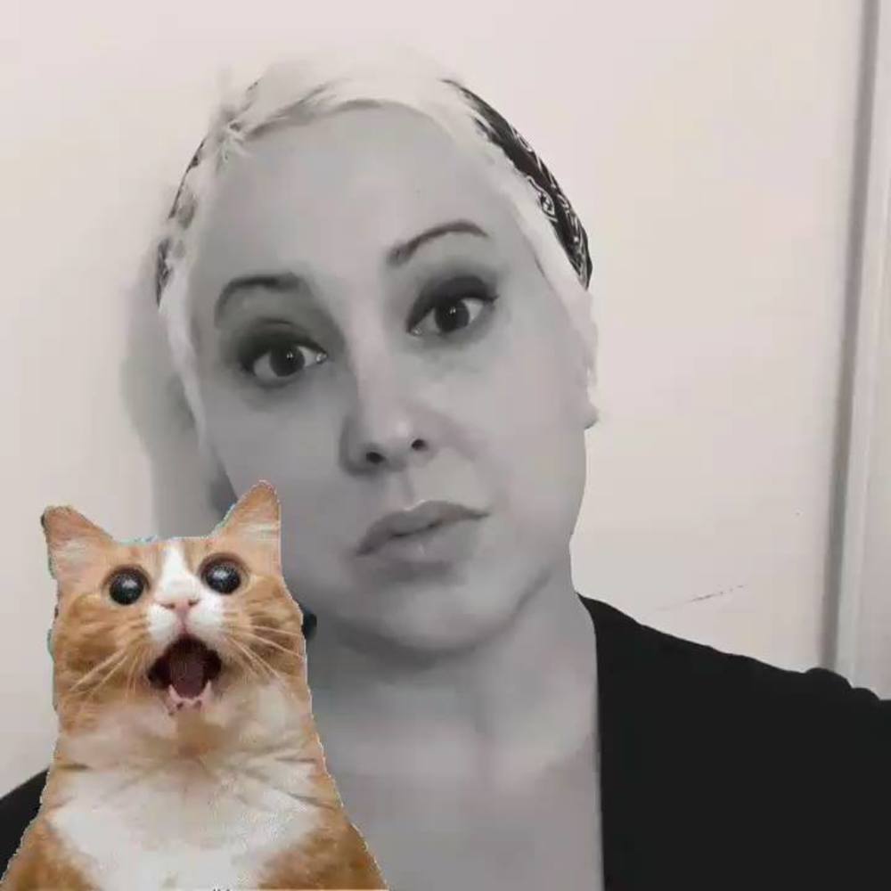 Meet your Posher, Erin